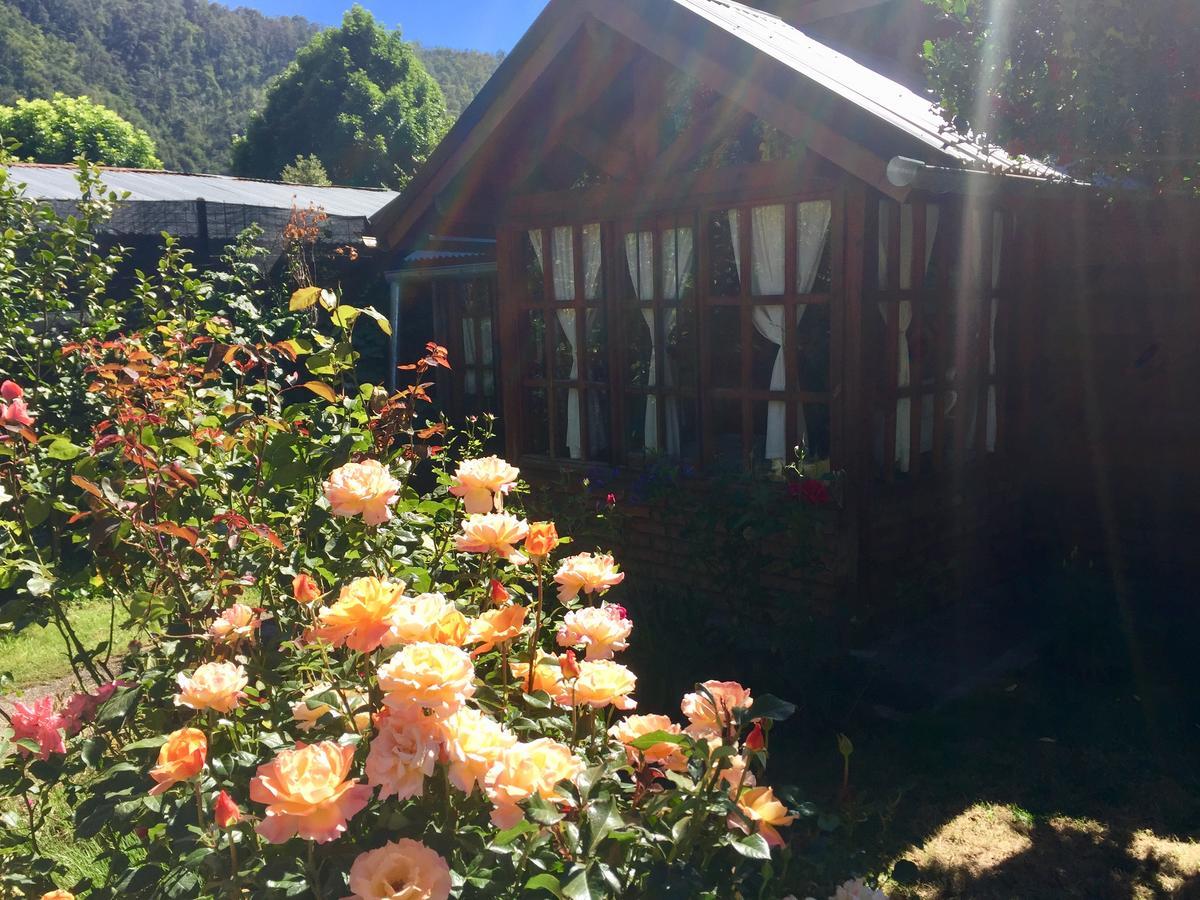 Tu Cabana San Martín de los Andes Buitenkant foto